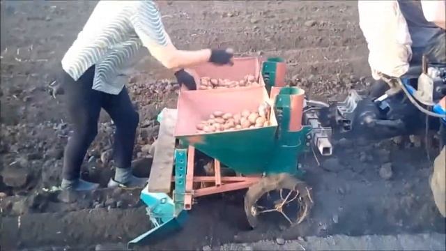 посадка картофеля мототрактором,на жирном чернозёме смотреть онлайн