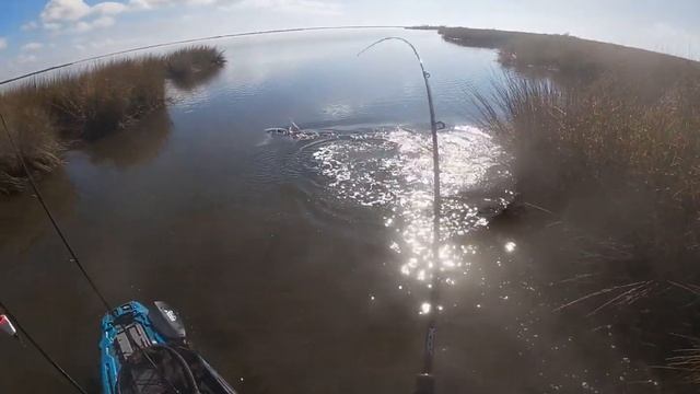 Redfish Hunting at PAC Kayak Rentals смотреть онлайн