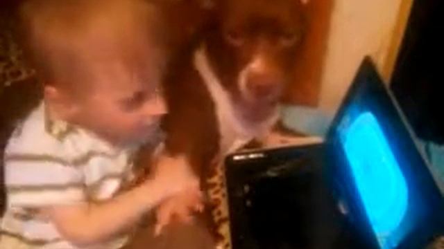 Питбуль и ребенок! смотреть онлайн