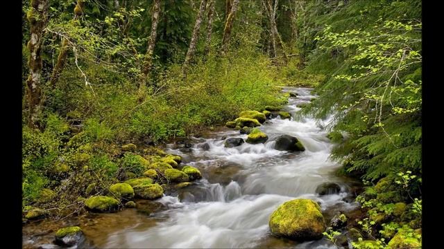 Звуки природы и Музыка. Music Nature Sound Piano. Шум воды. Пение птиц. Релакс. Для Сна смотреть онлайн