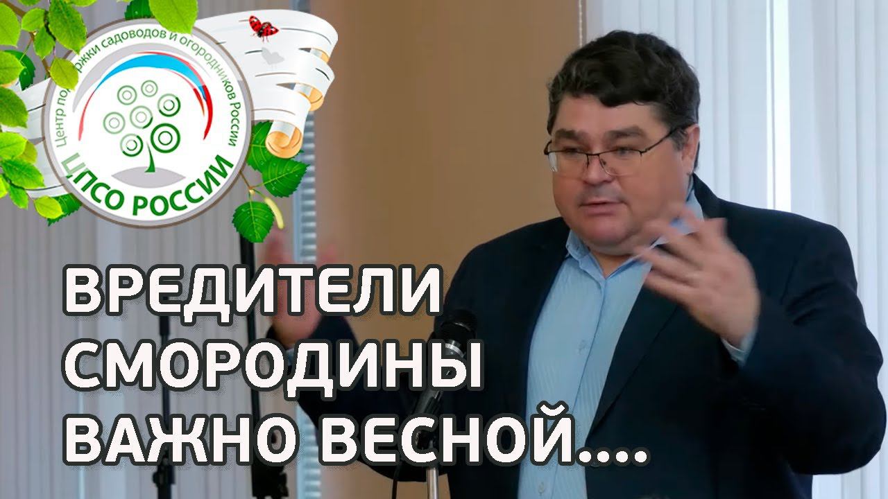 СДЕЛАЙТЕ ВЕСНОЙ ДЛЯ ЗАЩИТЫ СМОРОДИНЫ от болезней и вредителей . Болезни и вредители смородины. смотреть онлайн