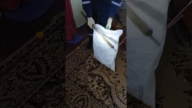 Змея заползла в дом. Спасатель Даниил - ловец змей