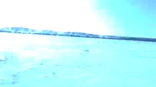 Палочник полутрубочник рекорды скорости 7 смотреть онлайн