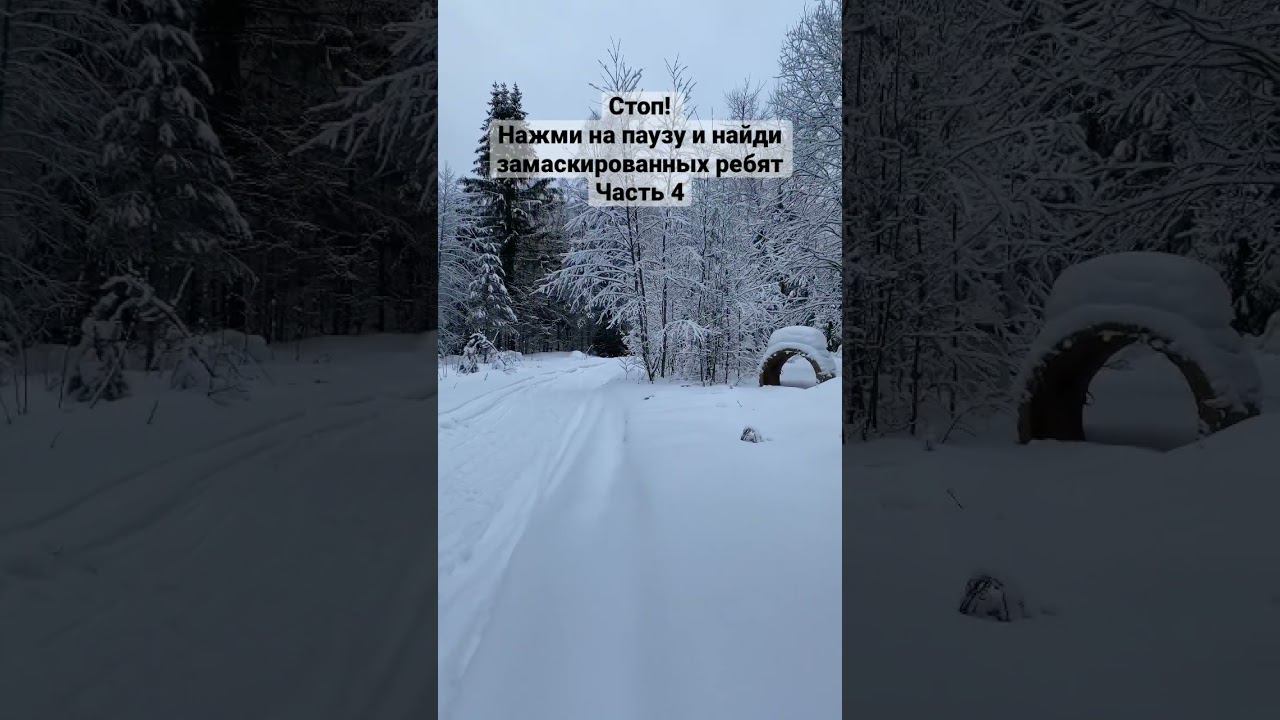 Найди замаскированных | Часть 4 #airsoft #alpine #маскировка смотреть онлайн