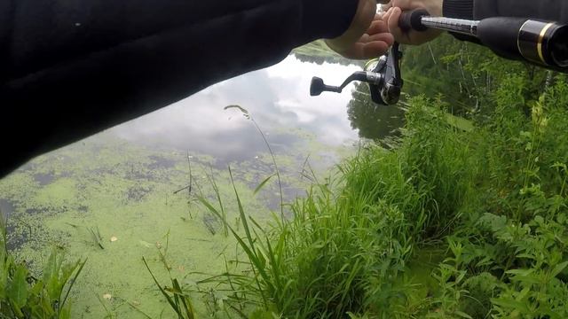 Рыбалка на воблеры и микроколебалки смотреть онлайн