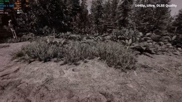 Sons of the Forest | RTX 3080 10GB | 1080p -1440p | DLSS | Ultra Settings смотреть онлайн
