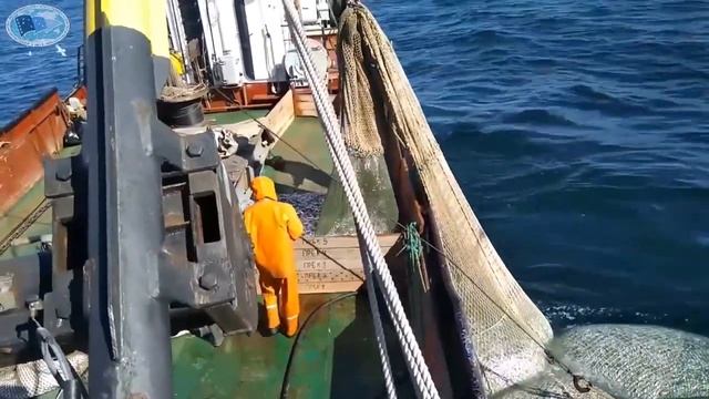 Вылов кильки. Февраль 2020 г. (КАСПНИРХ) смотреть онлайн