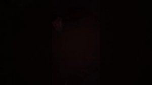 укладка Линолеума таркетт на сухую стяжку. без наливного пола. эконом вариант.