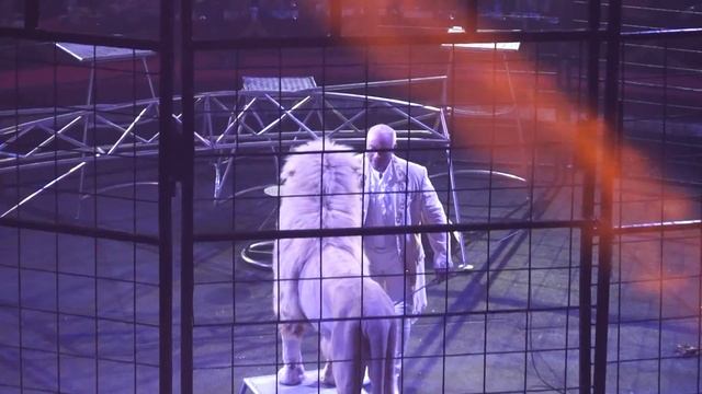 Vinicio Togni Guest Star 18°Latina смотреть онлайн