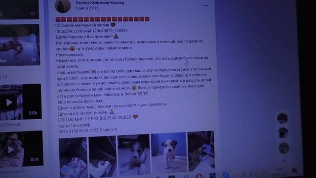 НУЖНА ВАША ПОМОЩЬ!!! СПАСЕНИЕ МАЛЕНЬКОЙ ЖИЗНИ смотреть онлайн