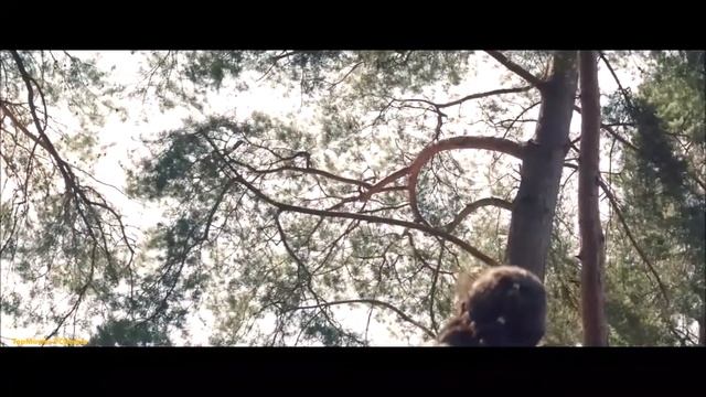 Смешные дубли Белоснежка и охотник 2 смотреть онлайн