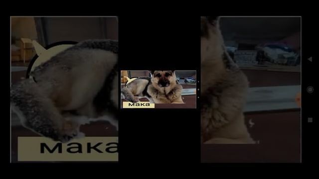 как сделать свой фнаф в покед код#3 смотреть онлайн
