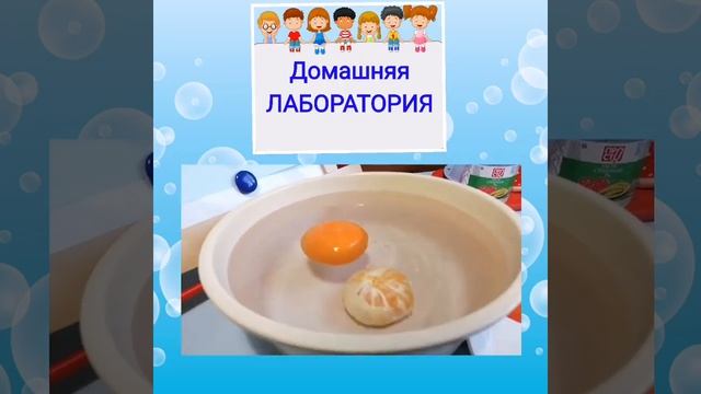Светлана Черткова, воспитатель Школы № 1434. Опыт с мандаринами смотреть онлайн