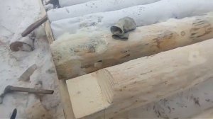 Сруб бани 3×3 своими руками.