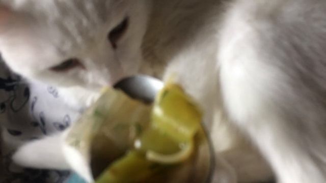 Ложка супа!