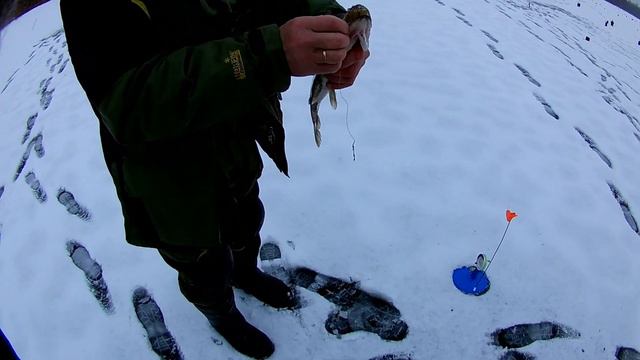 ЗИМНЯЯ РЫБАЛКА 🎣 НА ЖЕРЛИЦЫ.ОТКРЫТИЕ СЕЗОНА-ПЕРВЫЙ ЛЕД. смотреть онлайн