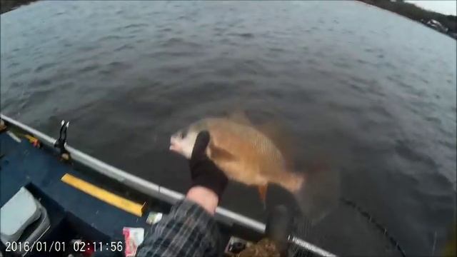 Gulp minnow vs real minnow challenge смотреть онлайн