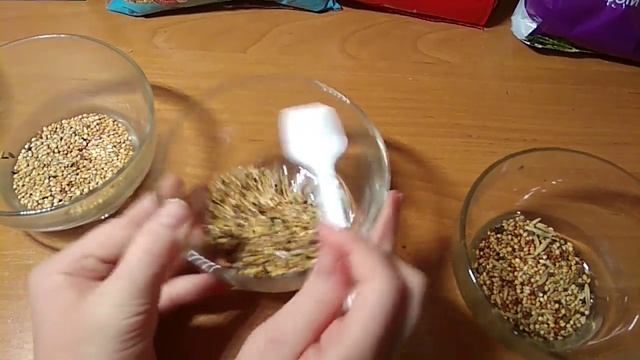 Уход за амадинами????? смотреть онлайн