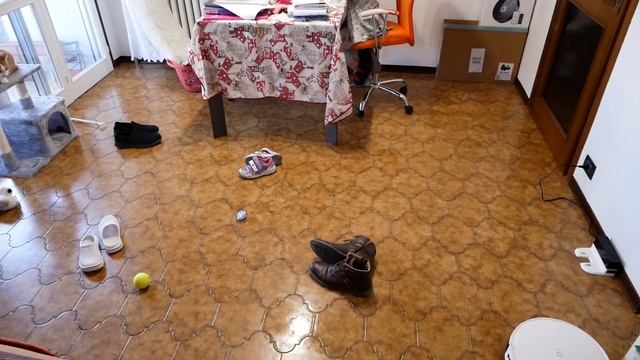 Yeedi Vac 2 Pro ANTEPRIMA: L'Evoluzione Del Lavaggio Con Sistema Oscillante