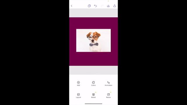 How To Remove The Background Of An Image In Adobe Express App | Adobe Express Tutorial