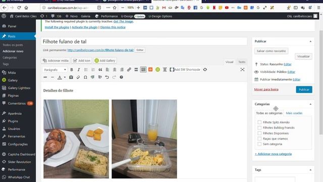 Painel ‹ Canil Belos Cães — WordPress Mozilla Firefox 2019 05 27 12 28 46 смотреть онлайн