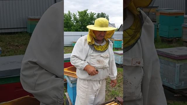 Бардак на пасеке! смотреть онлайн