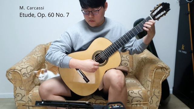 Etude, Op. 60 No. 7 - M. Carcassi смотреть онлайн
