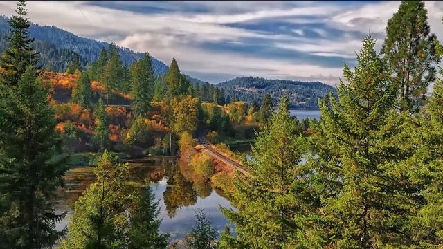 буктрейлер по книге "Рассказы о всякой живности" В. И. Белова смотреть онлайн