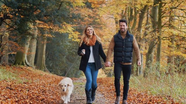 Навыки соблазнения, которыми должны овладеть пожилые мужчины, чтобы привлечь молодых женщин смотреть онлайн