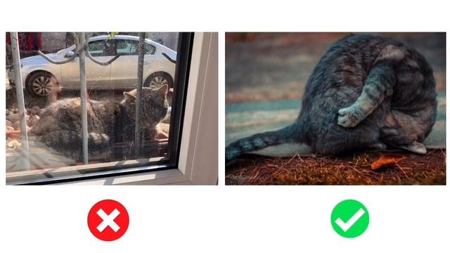 Как делать красивые фото для Инстаграм? Основные правила съёмки на телефон смотреть онлайн