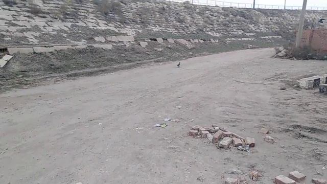 приручаю ворону 2 смотреть онлайн