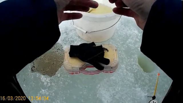 Продолжение охоты за монстром городского водоема смотреть онлайн