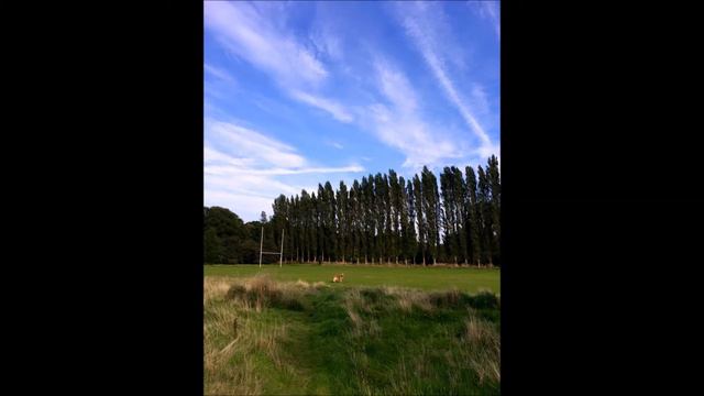 Pachelbel Canon in D, arranged for clarinet and piano смотреть онлайн