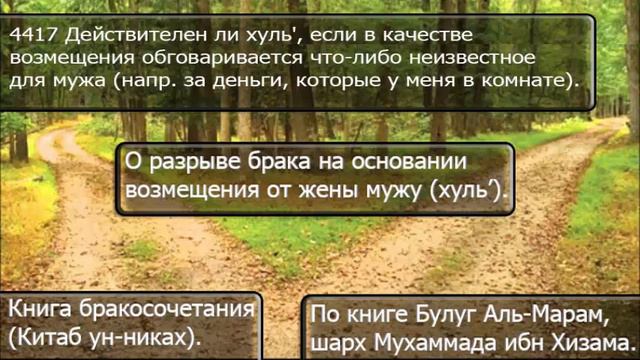 4417 Действителен ли хуль', если в качестве возмещения обговаривается что либо смотреть онлайн