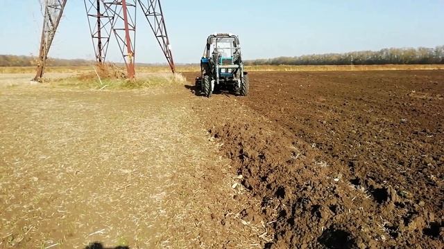 ПОЛУЧИЛИ ВСХОДЫ ЯЧМЕНЯ БАЗАЛЬТ. BARLEY SHOOTS BASALT WERE OBTAINED. смотреть онлайн