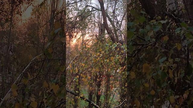 Закат красивый после дождя ? смотреть онлайн