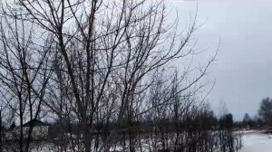 Приметы на 19 февраля — день Вукола