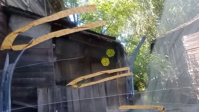 Стоит ли шлифовать стёкла на автомобиле смотреть онлайн