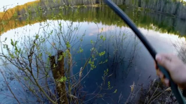С боковым кивком на озере. Летняя мормышка. Ловля без насадки. Плотва,хардкор и жабьи свадьбы... смотреть онлайн
