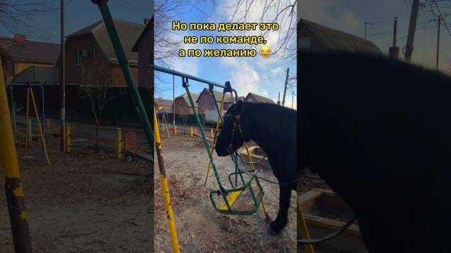 Лиля научилась раскачивать качели #shorts