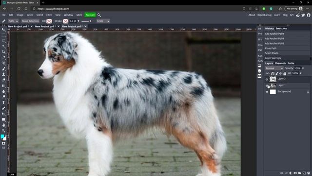 How to use the PEN TOOL EASILY in Photopea! (Cut, Make shapes, etc) смотреть онлайн