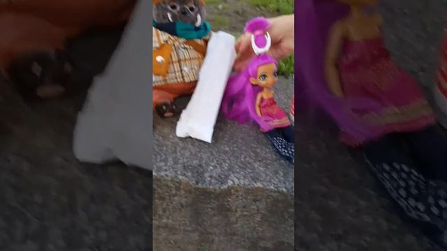 Питер с Мявчиком: сфинксы и Царское Село смотреть онлайн