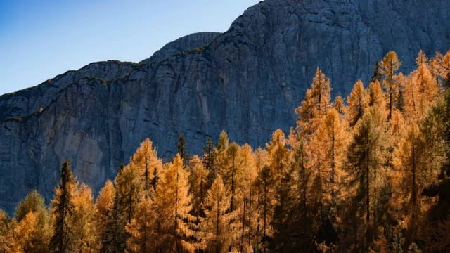 НЕВЕРОЯТНО КРАСИВАЯ РАССЛАБЛЯЮЩАЯ МУЗЫКА | (музыка для отдыха, сна, релаксации и концентрации) | #1 смотреть онлайн