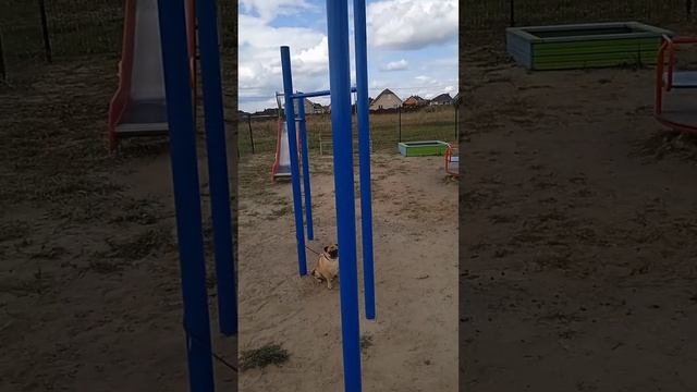 Lv_0_20230927125350.mp4