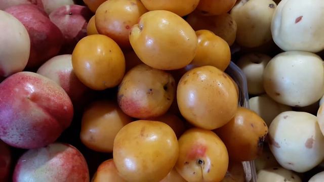 Абрикосы Азербайджан смотреть онлайн