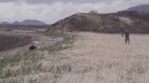 Охота на медведя с луком, это конечно жесть! Bear hunting with bow