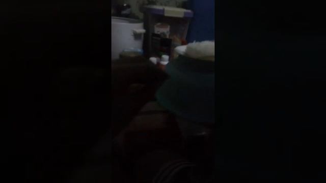 Piggy Tales:Cake Duel Episode 19 смотреть онлайн