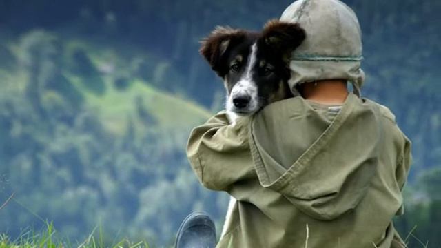 Ветер бродяга смотреть онлайн
