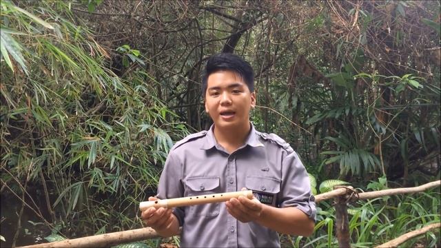 Traditional Instrument - Suling смотреть онлайн