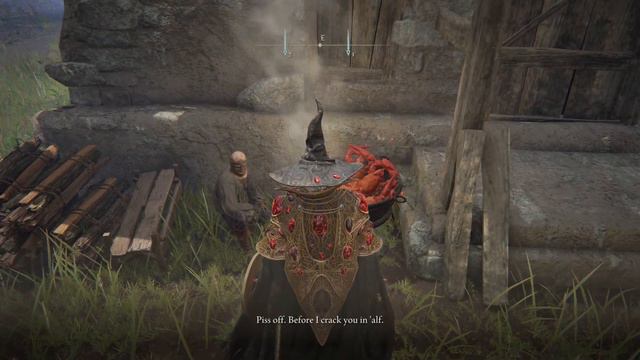 ELDEN RING funny moment смотреть онлайн